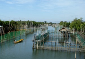 Dagopan Fish Farm