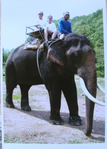 440-elephant-ride